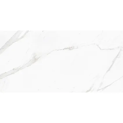 Carreau de sol en céramique Baranello Pulido blanc rectifié 60x60cm 2