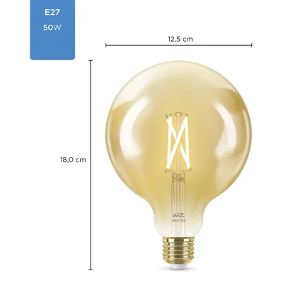 Ampoule LED à filament G125 lumière blanche chaude ou froide E27 6,7W 5