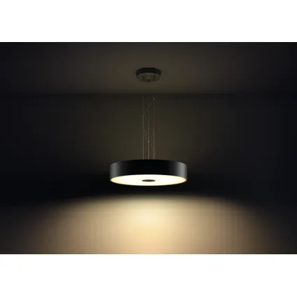 Philips Hue hanglamp LED Fair zwart 2x33,5W 2
