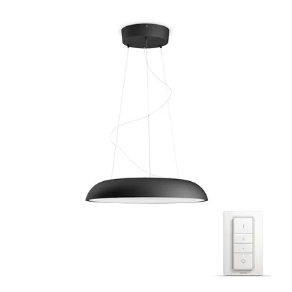 Philips Hue hanglamp LED Amaze zwart 2x33,5W