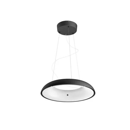 Philips Hue hanglamp LED Amaze zwart 2x33,5W 3