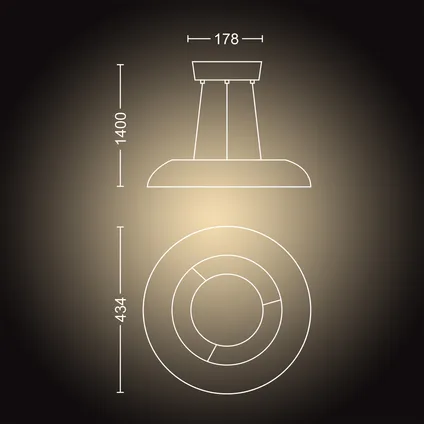 Philips Hue hanglamp LED Amaze zwart 2x33,5W 4