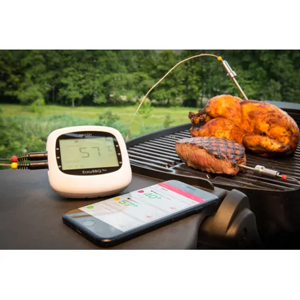 HerQs easy BBQ Thermometer 4