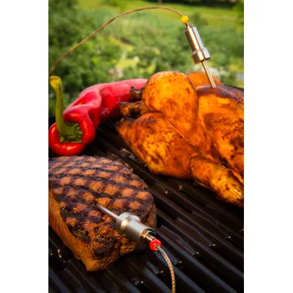 HerQs easy BBQ Thermometer 6
