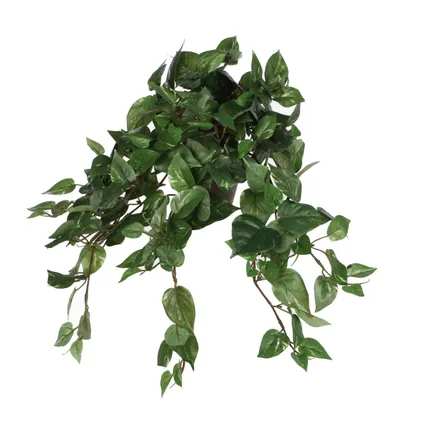 Mica Decorations Kunstplant - scindapsus drakenklimop - groen - 45 cm