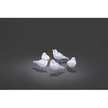 Décoration oiseaux 40 LED blanc froid 5pcs 10x6x16cm
