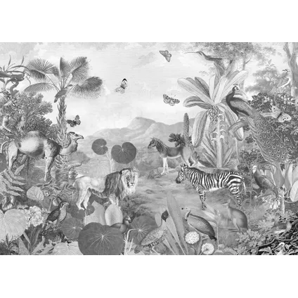 Komar photo murale Flora and Fauna 300x250cm 2