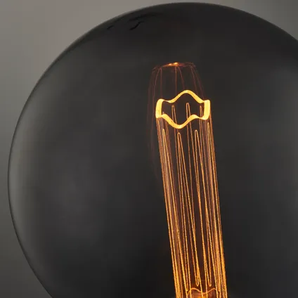 Globe LED à filament Brilliant smoke 2,8W E27 5