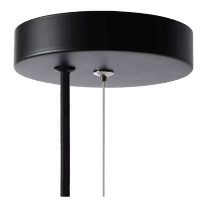 Lucide hanglamp Fern zwart E27 4