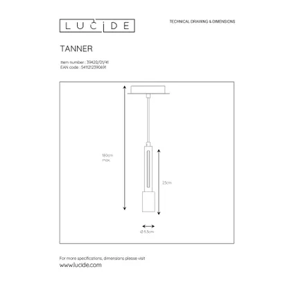 Lucide hanglamp Tanner zwart E27 10