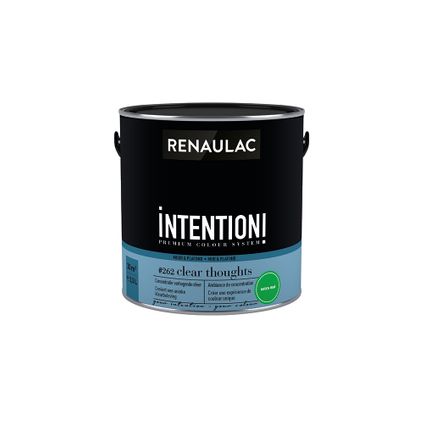 Peinture murale Renaulac Intention Mur & plafond clear thought extra mat 2,5L