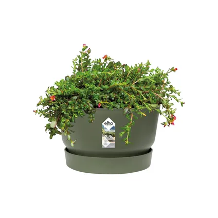 Pot de fleurs Elho gv coupe 33cm leaf green 2