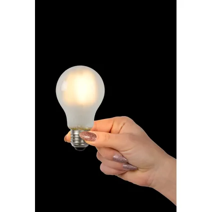 Ampoule LED filament Lucide mat A60 E27 5W 2
