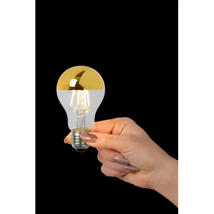 Ampoule filament LED Lucide or A60 gradable E27 5W 3