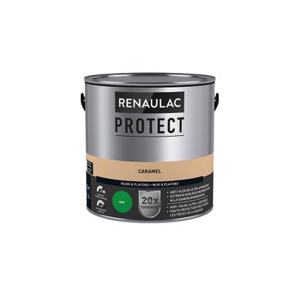 Peinture mur et plafond Renaulac Protect ultra couvrante caramel mat 2,5L