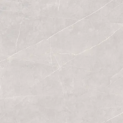 Wand- en vloertegel Tactile Pearl - Keramiek - Grijs - 60x60cm - Pakket inhoud 1,42m²