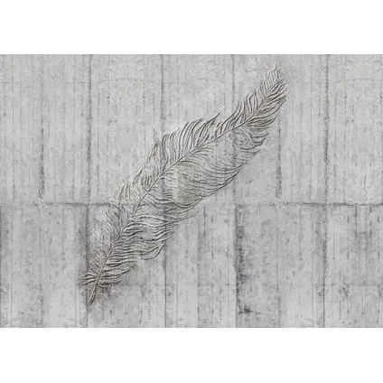 Komar fotobehang Concrete Feather 350x250cm 2