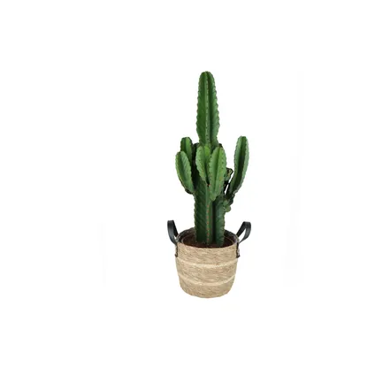 Cowboycactus (Euphorbia Ingens) 80cm met plantenpot lichte natuur tint