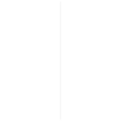 Hollat grenen (1414) gegrond 13x13mm wit 270cm 4