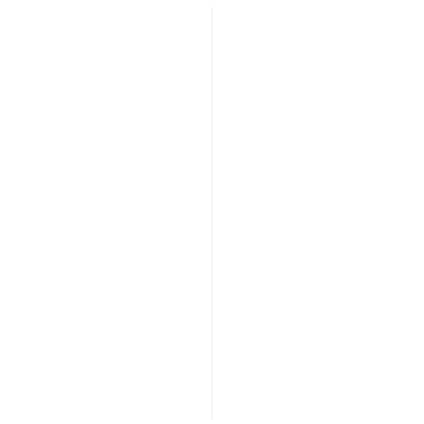 Hollat grenen (1414) gegrond 13x13mm wit 270cm 6