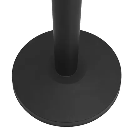 VidaXL afzetpaal met band roestvrij 200cm zwart 3