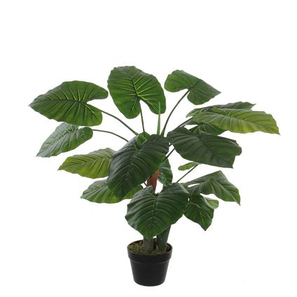 Plante artificielle Mica Decorations Taro - 60x60x90 cm - Vert