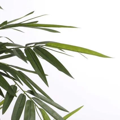 Mica Decorations bamboe groen in plastic pot maat in cm: 140 x 100 - GROEN 3