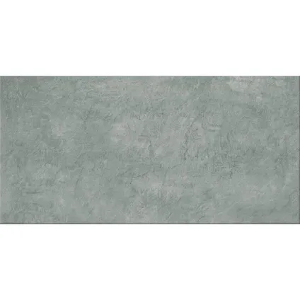 Wand- en vloertegel Pietra - Keramiek - Lichtgrijs - 30x60cm - Pakket inhoud 1,6m²