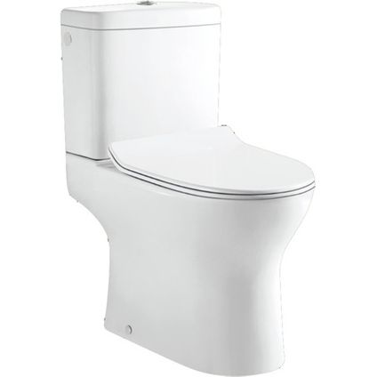 Van Marcke duoblok toilet Gustav I PK aanlsluiting I Quick release & Soft-close toiletzitting I Randloos toiletpot wit