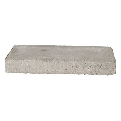 Decor betontegel grijs 30x15x4,5cm 3