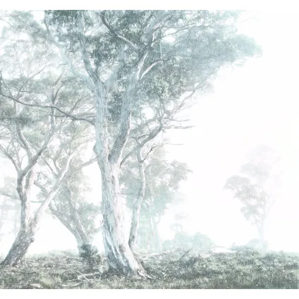 Komar fotobehang Magic Trees 400x280cm 2