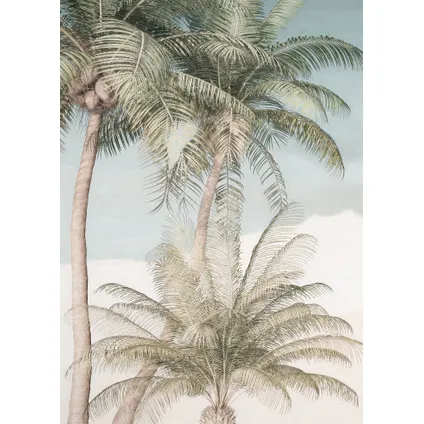Komar fotobehang Palm Oasis 200x280cm 2