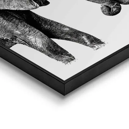 Schilderij Olifanten zwart-wit 30x40cm                                                                                                                                                                                                                                                                                                                                                                                                                                                                                                                                                                                                                                                                                                                                                                                                                                                                                                                                                                                                                                                                                                                                                                                                                            4