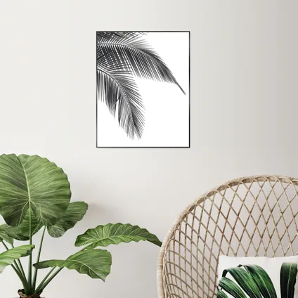 Schilderij Palm zwart-wit 40x50cm                                                                                                                                                                                                                                                                                                                                                                                                                                                                                                                                                                                                                                                                                                                                                                                                                                                                                                                                                                                                                                                                                                                                                                                                                      2