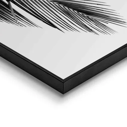 Schilderij Palm zwart-wit 40x50cm                                                                                                                                                                                                                                                                                                                                                                                                                                                                                                                                                                                                                                                                                                                                                                                                                                                                                                                                                                                                                                                                                                                                                                                                                      4