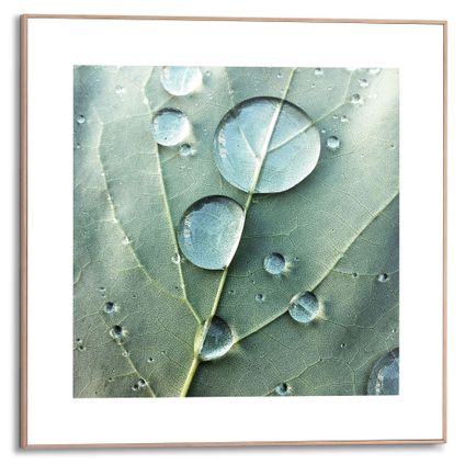 Decoratief paneel Zoom close-up waterdruppels op blad 50x50cm MDF