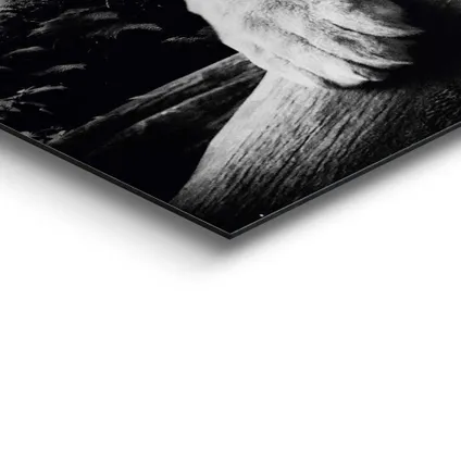 Schilderij Tijger zwart-wit 90x60cm                                                                                                                                                                                                                                                                                                                                                                                                                                                                                                                                                                                                                                                                                                                                                                                                                                                                                                                                                                                                                                                                                                                                                                                                                     4