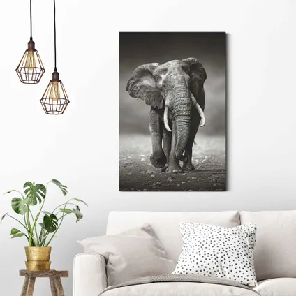 Tableau Éléphant en promenade noir/blanc 60x90cm                                                                                                                                                                                                                                                                                                                                                                                                                                                                                                                                                                                                                                                                                                                                                                                                                                                                                                                                                                                                                                                                                                                                                                                                 2