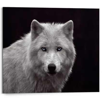 Panneau décoratif Loup blanc prédateur 50x40cm MDF