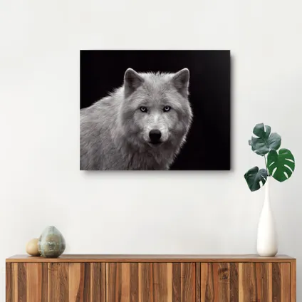 Panneau décoratif Loup blanc prédateur 50x40cm MDF 2