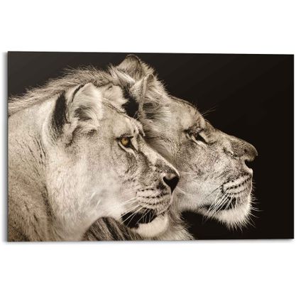 Decoratief paneel Leeuw en leeuwin roofdier portret 90x60cm MDF
