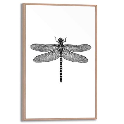 Decoratief paneel Zwart-witte libelle illustratie 20x30cm MDF