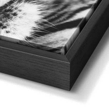 Art Frame Tijger zwart-wit 70x118cm                                                                                                                                                                                                                                                                                                                                                                                                                                                                                                                                                                                                                                                                                                                                                                                                                                                                                                                                                                                                                                                                                                                                                                                                                             4