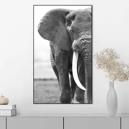 Cadre artistique Éléphant noir/blanc 70x118cm                                                                                                                                                                                                                                                                                                                                                                                                                                                                                                                                                                                                                                                                                                                                                                                                                                                                                                                                                                                                                                                                                                                                                                                                           2