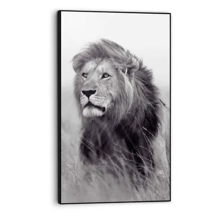 Cadre artistique Lion dans la savane noir/blanc 70x118cm