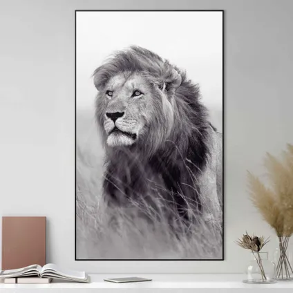 Art Frame Leeuw op Savanne zwart-wit 70x118cm                                                                                                                                                                                                                                                                                                                                                                                                                                                                                                                                                                                                                                                                                                                                                                                                                                                                                                                                                                                                                                                                                                                                                                                                                     2