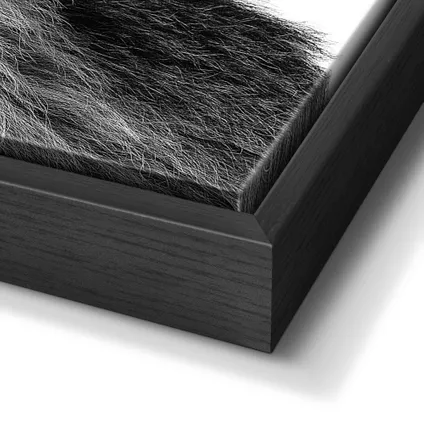 Art Frame Leeuwenkop zwart-wit 70x118cm                                                                                                                                                                                                                                                                                                                                                                                                                                                                                                                                                                                                                                                                                                                                                                                                                                                                                                                                                                                                                                                                                                                                                                                                                4