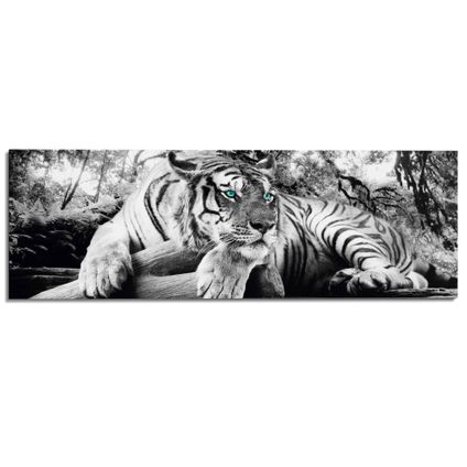 Decoratief paneel tijger in de jungle 156x52cm MDF