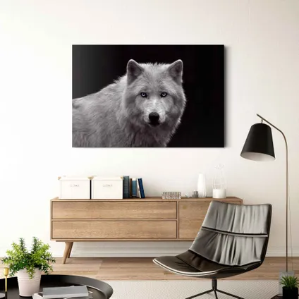 Decoratief paneel Witte wolf 75x116cm veiligheidsglas 2