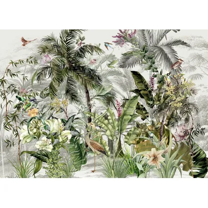 Komar photo murale Birds In The Jungle 350x250cm 2